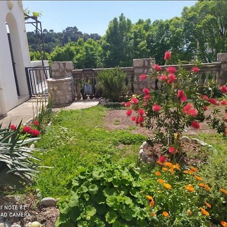Apartmani Jovanovic Petrovac Exterior photo