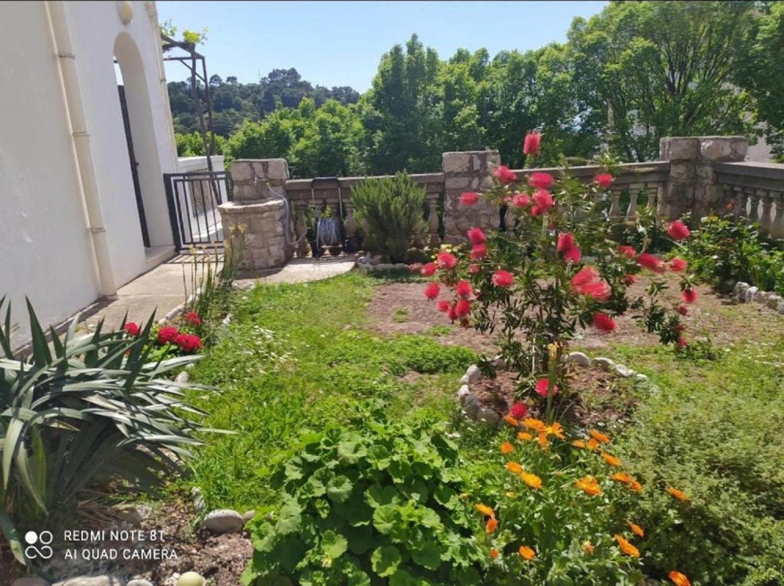 Apartmani Jovanovic Petrovac Exterior photo