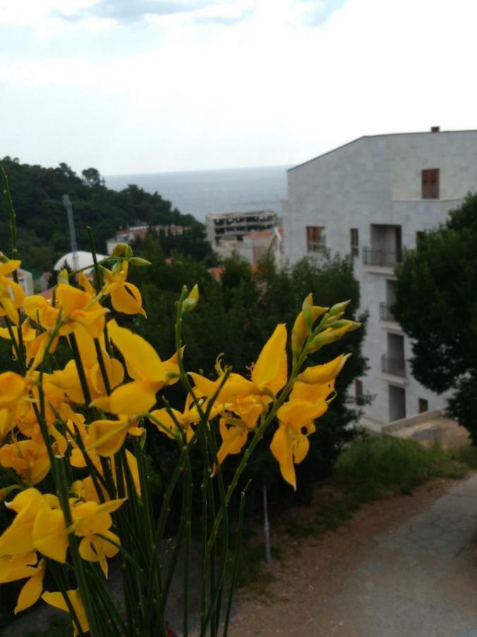 Apartmani Jovanovic Petrovac Exterior photo